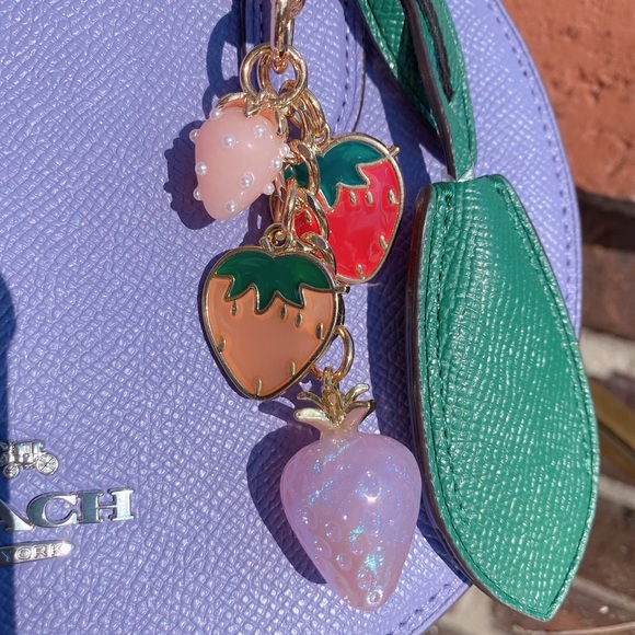 NWT Coach Blueberry Crossbody with Handmade Strawberry Cluster Bag Charm CR253 - Picture 2 of 9